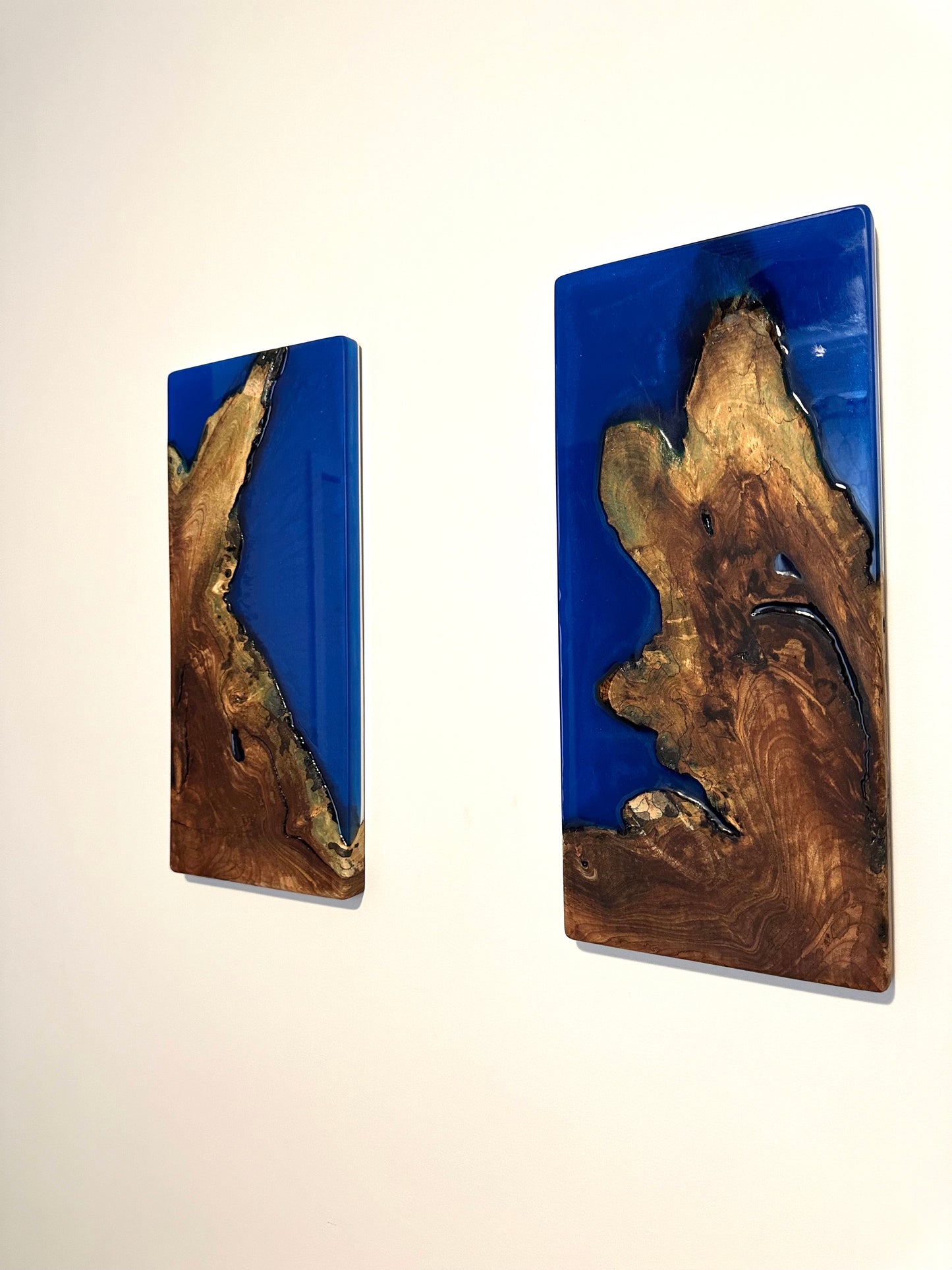 PAIR of Live Edge Maple Root & 3d Blue Wall Hangings- Art