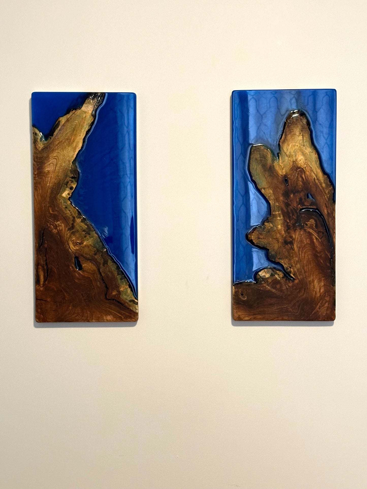 PAIR of Live Edge Maple Root & 3d Blue Wall Hangings- Art